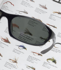 Polarized Performance Bifocals, Large | L.L.Bean