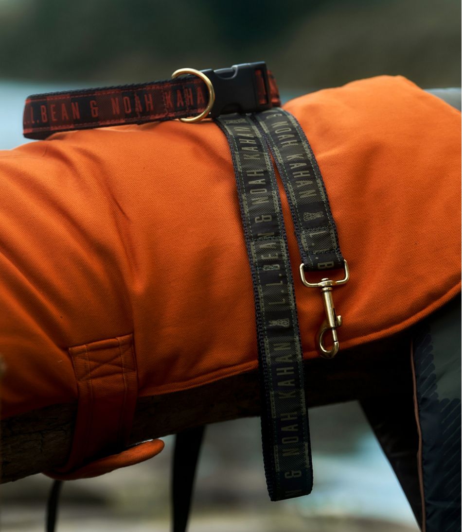 & Noah Kahan Reversible Field Coat for Dogs | L.L.Bean