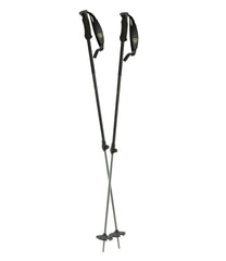 Rossignol BC 100 Backcountry Ski Poles | L.L.Bean